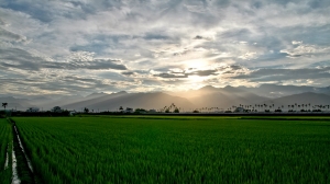 半年多沒貼照片了....SORRY 狗宅@@