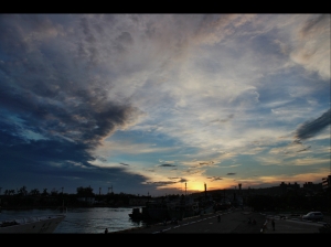 大家好!...新手第一次拍照..多多指教..