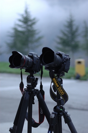 九寨溝---五花海,天鵝海