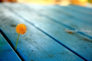 (JUSTIN) 海.光影.夜