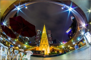 魚眼．新板特區