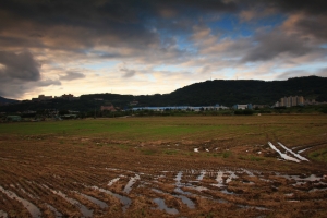 天氣再差也要解手纏--關渡平原
