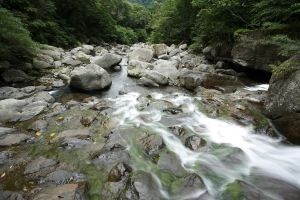 滿月圓