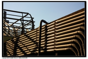 靜物就是不會動的...對吧 !!!（二連發）