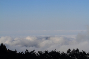 沒參加到尾牙~!只好跟同伴們殺上去阿里山
