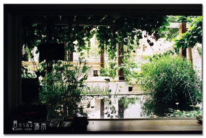 ～昔からある場所～(底片版)