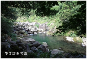 [南庄]生態之旅-蓬萊溪護魚步道