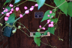 Still Life 0722 消失中的尚義村