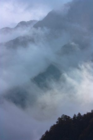中橫-雲霧飄渺間
