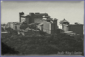 2012 杰克的隨拍 (15) 朋友們暫別了