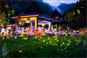 北埔冷泉．雨後螢光