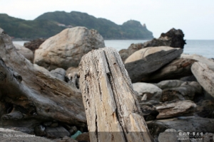 爬到腿軟-龍洞攀岩場