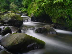 絹絲谷,菁礐溪 by Pentax 645D