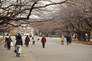 冬天蕭瑟的東京上野公園
