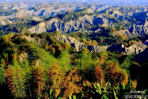 龍崎308高地