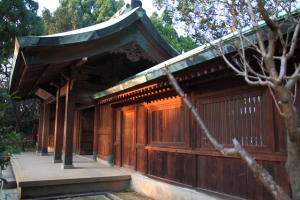 桃園神社隨拍