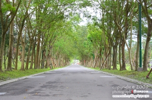 發現宜蘭之美‧羅東運動公園