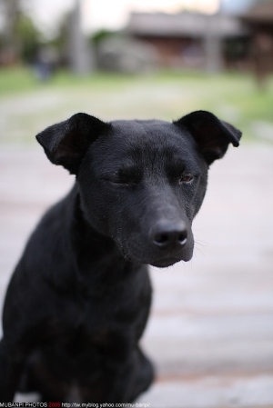 中年失業的表情