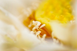 熱透了~亂拍一通!!新手上路請各位指教!