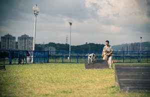 新北狗狗運動會_Lee