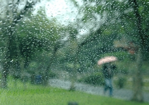雨中即景