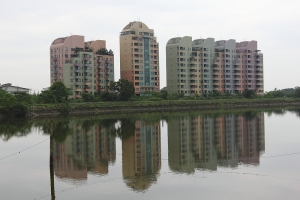 2012大溪油桐花-加減拍