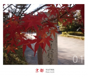 京都-宇治平等院