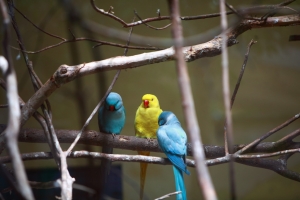 好久沒到這邊走走 ! 5d2+小白IS