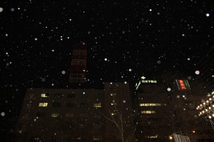 Japan Sapporo 北海道
