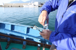 0115第一次搭鏢船出海