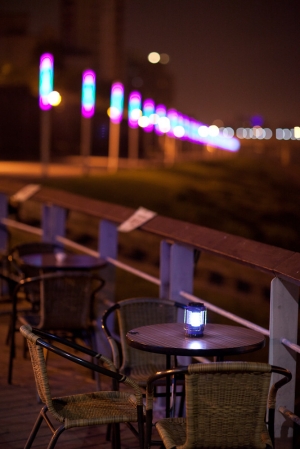 [ 5 D II ] 這是~彩虹橋嗎?