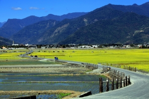 池上天堂路
