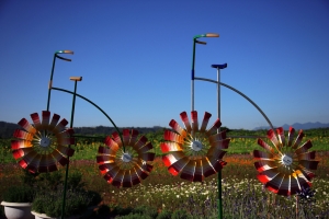 南投花卉嘉年華 - 雜工