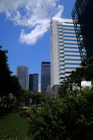 午後的信義計畫區