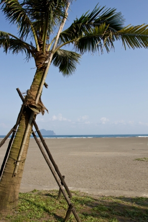 陽光、沙灘、東北角
