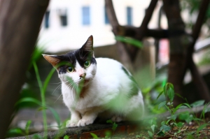 拍得很差～一張流