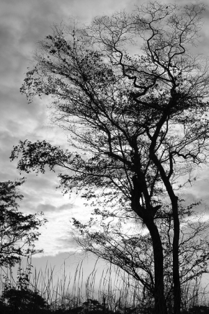 沒聽女王勸的後果~"小心"傷到視力