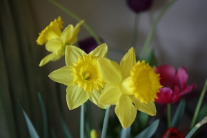 年假五天花花過