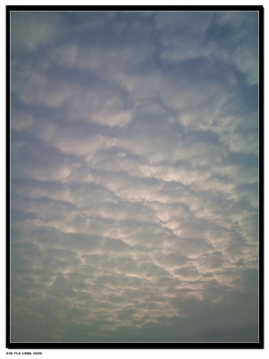 今天下午的雲(2張)