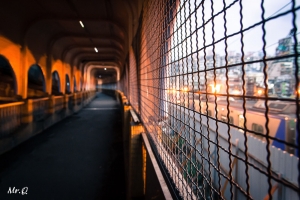 往往再一次到相同的地方,所有的人事物都讓你不會在相同.