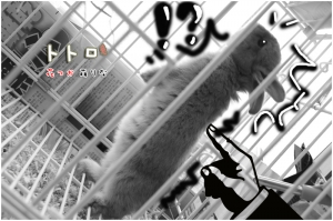 一緒に食事をしませんか