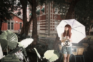 雨中的悠閒 ||  許寶  ||