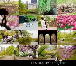 ::: Central Park Four Seasons 紐約中央公園的四季 :::