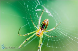 富陽生態公園．隨拍