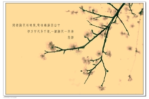 士林 志成公園的梅花