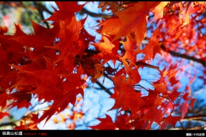 十遊記。福壽山