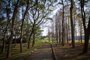 埔心牧場一日閒逛