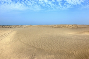 七股沙丘~~~~『迷妳型沙漠』