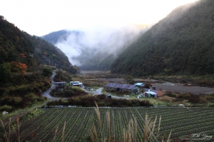 武陵 楓紅飄香
