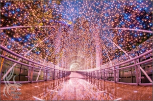 新北耶誕．金澄星橋